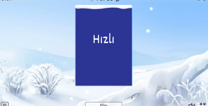 hafıza kartı winter